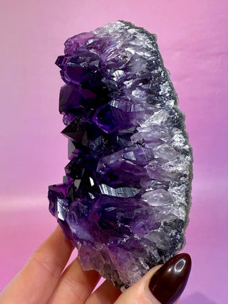 AMETHYST CLUSTER - EXTRA QUALITY (1) Druze The Crystal Avenues