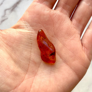 BALTIC AMBER (16) Bracelet The Crystal Avenues