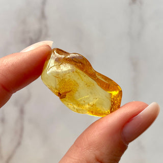 BALTIC AMBER (4) Bracelet The Crystal Avenues