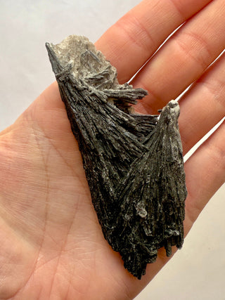 BLACK KYANITE (1) Raw Crystal The Crystal Avenues