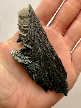 BLACK KYANITE (1) Raw Crystal The Crystal Avenues