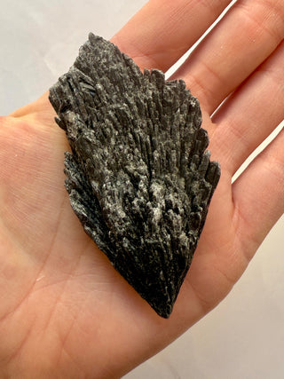 BLACK KYANITE (2) Raw Crystal The Crystal Avenues