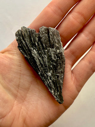 BLACK KYANITE (3) Raw Crystal The Crystal Avenues