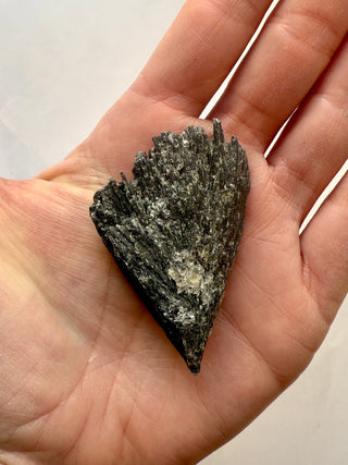 BLACK KYANITE (5) Raw Crystal The Crystal Avenues