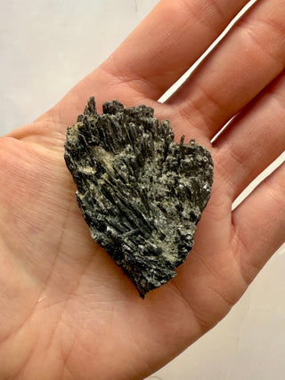 BLACK KYANITE (5) Raw Crystal The Crystal Avenues