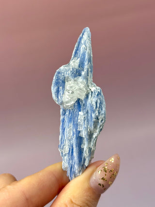 BLUE KYANITE (7) Raw Crystal The Crystal Avenues