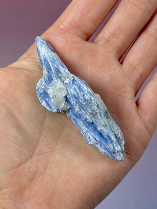 BLUE KYANITE (7) Raw Crystal The Crystal Avenues
