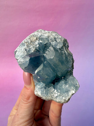 CELESTITE CLUSTER (4) Cluster The Crystal Avenues