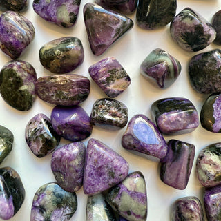 CHAROITE TUMBLE STONES tumble stone The Crystal Avenues