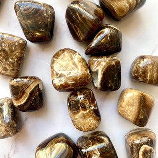 CHOCOLATE CALCITE TUMBLE STONE Bracelet The Crystal Avenues
