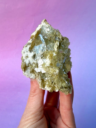 GOLDEN MICA (6) The Crystal Avenues