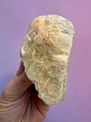 GOLDEN MICA (D) The Crystal Avenues