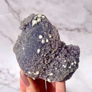 GRAPE AGATE CLUSTER (6) The Crystal Avenues