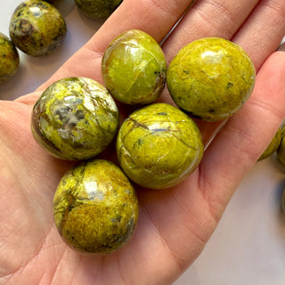 GREEN OPAL TUMBLE STONE Tumble Stone The Crystal Avenues
