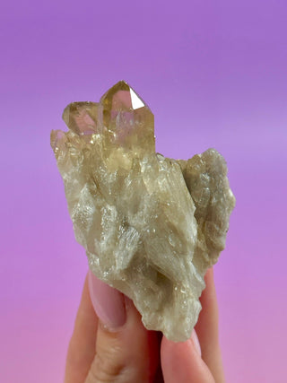 KUNDALINI CITRINE - A QUALITY (16) The Crystal Avenues