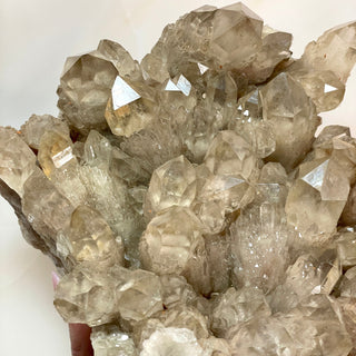 KUNDALINI CITRINE XL (1) The Crystal Avenues
