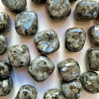 LARVIKITE TUMBLE STONE Tumble stone The Crystal Avenues