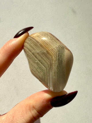 LODOLITE ´THOUSAND LAYER QUARTZ´ (2) Tumble Stone The Crystal Avenues