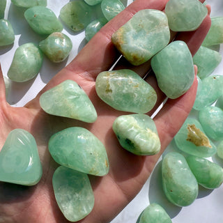 PREHNITE TUMBLE STONE Tumble Stone The Crystal Avenues