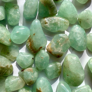 PREHNITE TUMBLE STONE Tumble Stone The Crystal Avenues