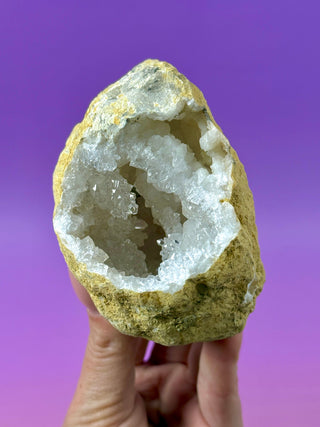 WHITE QUARTZ FRIENDSHIP GEODE (13A) The Crystal Avenues