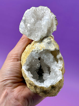 WHITE QUARTZ FRIENDSHIP GEODE (13A) The Crystal Avenues