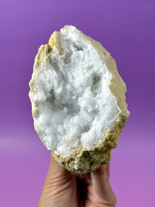 WHITE QUARTZ FRIENDSHIP GEODE (2A) The Crystal Avenues