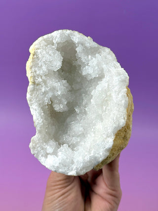 WHITE QUARTZ FRIENDSHIP GEODE (4A) The Crystal Avenues