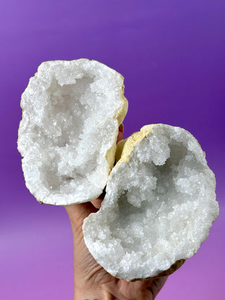 WHITE QUARTZ FRIENDSHIP GEODE (4A) The Crystal Avenues