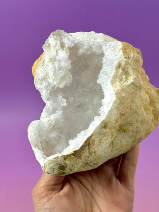 WHITE QUARTZ HALF GEODE (1) The Crystal Avenues