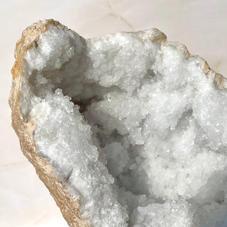 WHITE QUARTZ HALF GEODE XL - 7.6KG (1) The Crystal Avenues