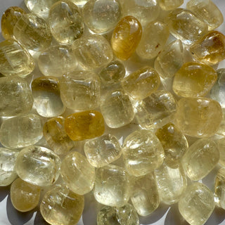 YELLOW OPTICAL CALCITE TUMBLE STONE Tumble Stone The Crystal Avenues