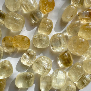 YELLOW OPTICAL CALCITE TUMBLE STONE Tumble Stone The Crystal Avenues