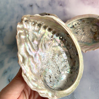 ABALONE SHELL Smudge bowl The Crystal Avenues