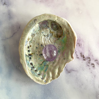 ABALONE SHELL Smudge bowl The Crystal Avenues