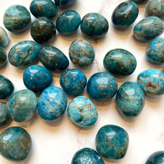 BLUE APATITE TUMBLE STONE tumble stone The Crystal Avenues