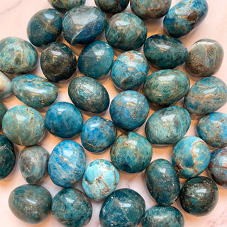 BLUE APATITE TUMBLE STONE tumble stone The Crystal Avenues