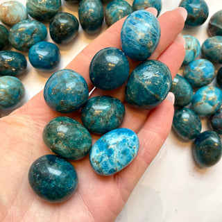 BLUE APATITE TUMBLE STONE tumble stone The Crystal Avenues