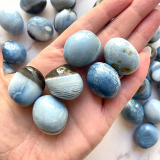 BLUE OWYHEE OPAL TUMBLE STONE (USA) tumble stone The Crystal Avenues