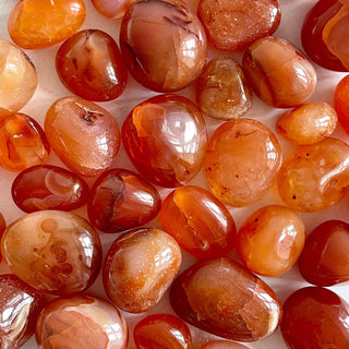 CARNELIAN TUMBLE STONE tumble stone The Crystal Avenues