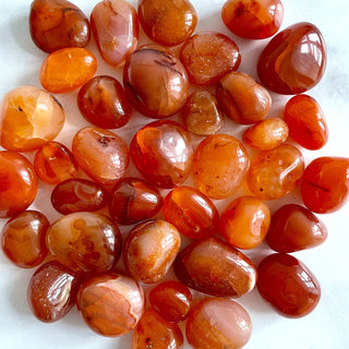 CARNELIAN TUMBLE STONE tumble stone The Crystal Avenues