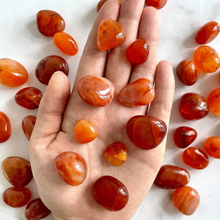 CARNELIAN TUMBLE STONE tumble stone The Crystal Avenues