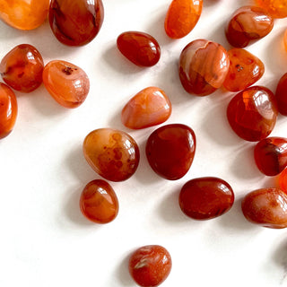 CARNELIAN TUMBLE STONE tumble stone The Crystal Avenues