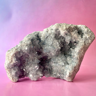 CELESTITE CLUSTER XL - EXTRA QUALITY (A) Cluster The Crystal Avenues