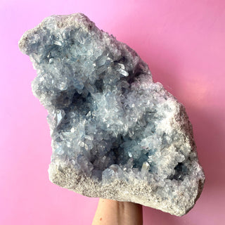 CELESTITE CLUSTER XL - EXTRA QUALITY (A) Cluster The Crystal Avenues