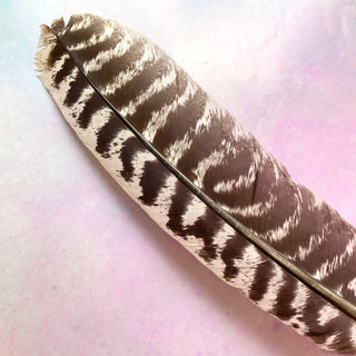 FEATHER FAN Smudge Stick The Crystal Avenues