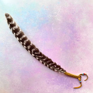 FEATHER FAN Smudge Stick The Crystal Avenues