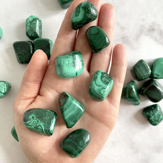 MALACHITE TUMBLE STONE tumble stone The Crystal Avenues
