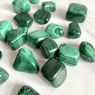 MALACHITE TUMBLE STONE tumble stone The Crystal Avenues