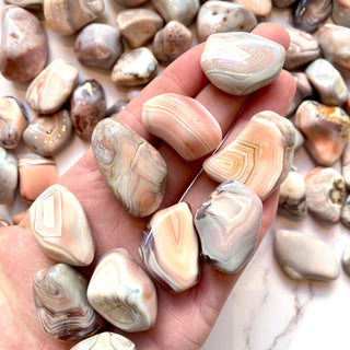 PINK BOTSWANA AGATE TUMBLE STONE tumble stone The Crystal Avenues